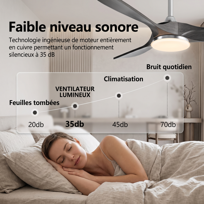 Ventilateur de plafond avec pales techniques en ABS avec lumière