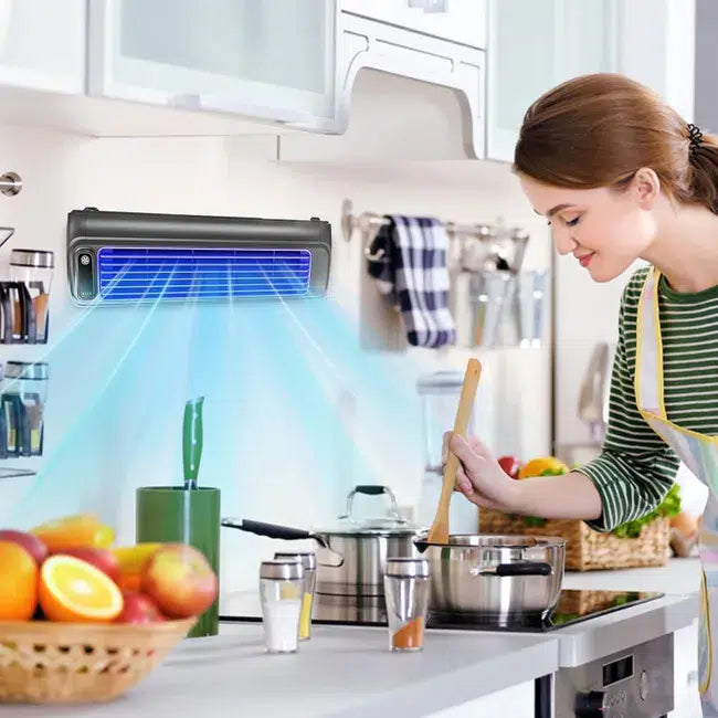 Ventilateur Mural Portable 3 Vitesses
